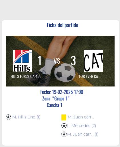 Finalizo el partido de FOR EVER CATS QA 456 VS HILLS FORCE QA 456